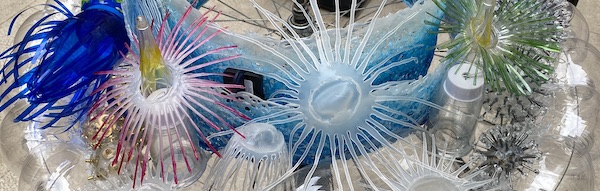 gastroadvent 2020 1 0