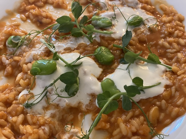 biser 2024 natjecanja 1